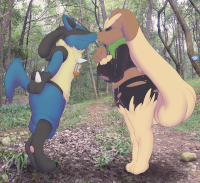 A Lucario and Lopunny nuzzling their noses. They are on a path in the woods at midday or morning